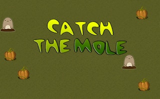 Image Catch the Mole