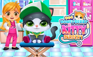 Image Doc HoneyBerry Kitty Surgery